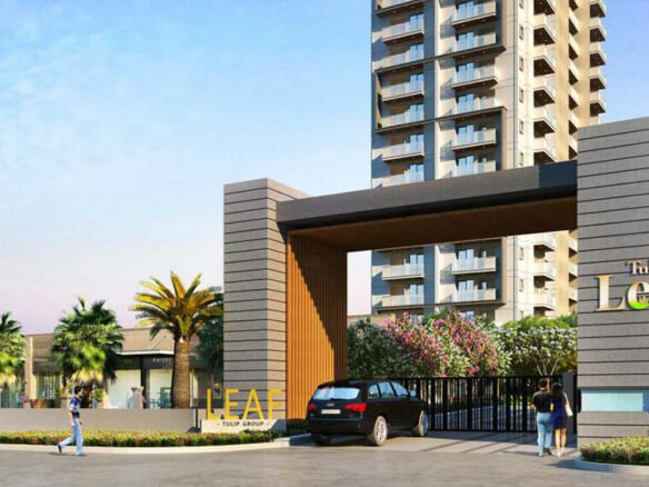 Tulip Leaf Sector 69 Gurgaon