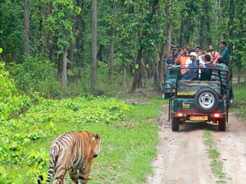 jungle safari park gurugram