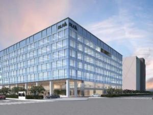 DLF India