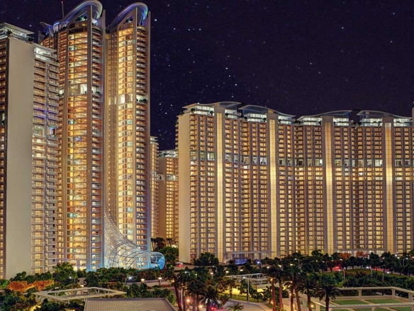 Karol Bagh Amaryllis