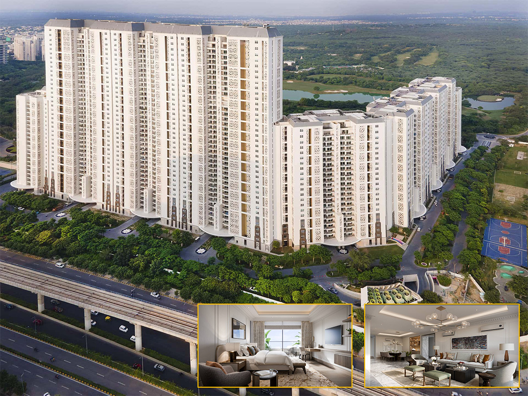 DLF Camellias